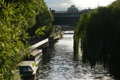 DSC_2697 (Large).JPG